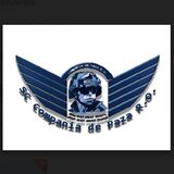 Agenti securitate pentru scoala privata